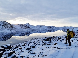 Drsný job na Antarktíde: