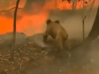 Ohnivé peklo v Austrálii: