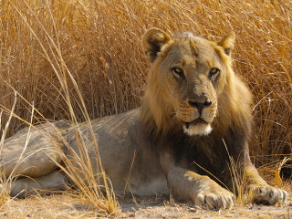 Filmári strávili tri mesiace