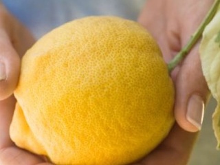 Urobte niečo pre svoju