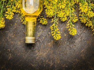 Je repkový olej vhodný