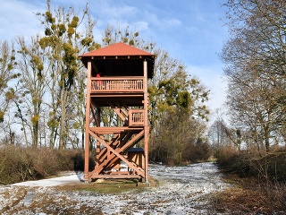 V obci Oborín funguje