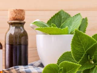 Bylinku so zvláštnym menom