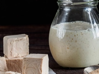 „Obyčajné“ droždie je poklad