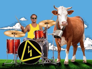 Trolejboys a ich politické