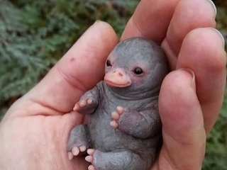 FOTO Ľudia sú hotoví