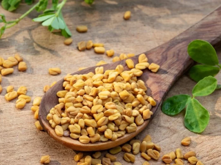 Malá rastlinka s priam