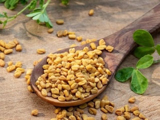 Malá rastlinka s priam