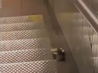 VIDEO Žena na schodoch