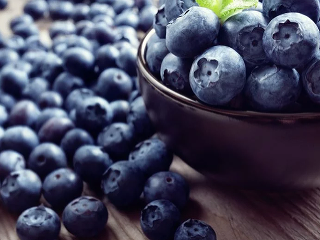 Výživa pre mozog je