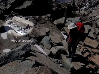 VIDEO Vedci na vrchole