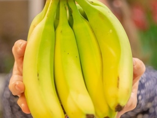 Prečo sú banány zakrivené