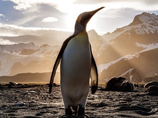 Ani náš kapitán sa