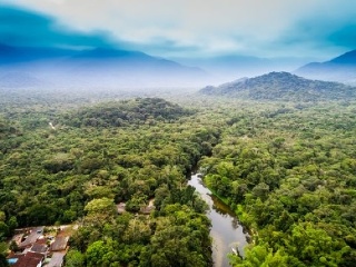 Alarmujúce zistenie o Amazonskom