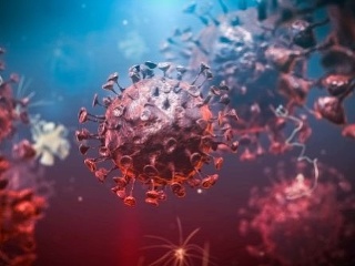 Vedci previedli štruktúru koronavírusu