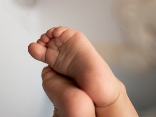Žilina hlási nárast novorodencov: