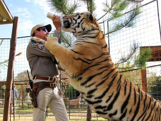 Tiger King neprestáva udivovať: