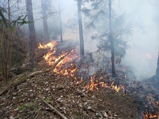 Požiare lesa a trávnatého