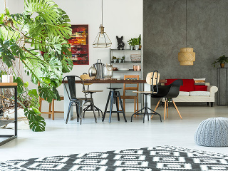 Interiérové rastliny