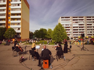 Umenie pod oknami: Nový