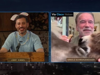 Bizarná nočná šou! VIDEO