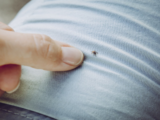 Účinnejšie ako antibiotiká: Tieto
