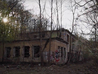 VIDEO Uprostred lesa v