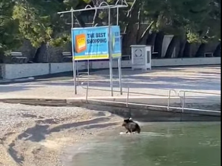 Chorvátsko hlási prvú kuriozitu