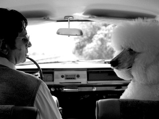 Drť vydáva debutový album