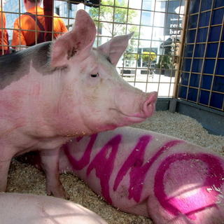 OKS začala kampaň: S