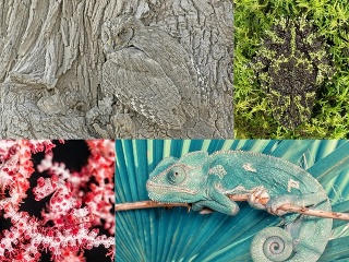 Majstri maskovania: Týchto 10