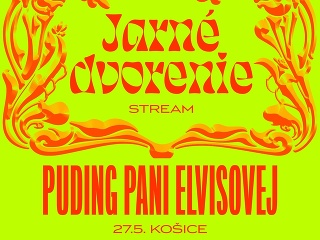 Dnešný online koncert Pudingu