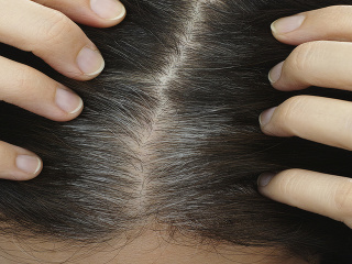 Hlava plná ŠEDÍN: Pravý