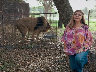 Tvrdá rana pre Tiger