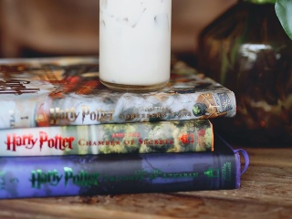 Harry Potter, Denník Anny