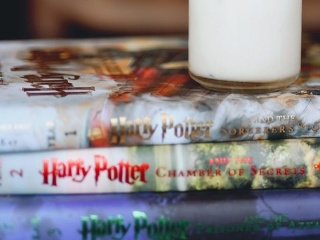 Harry Potter, Denník Anny