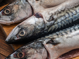 Viac uškodia ako pomôžu?