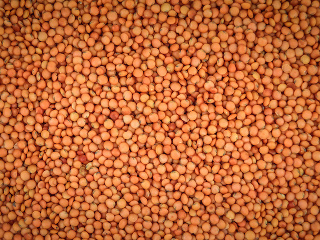 Päť rastlinných potravín, ktorými