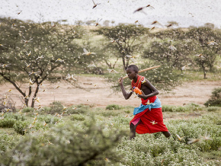 Na archívnej snímke zo