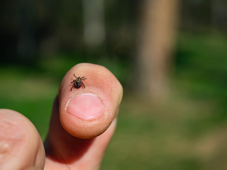 Preč s chémiou, tento