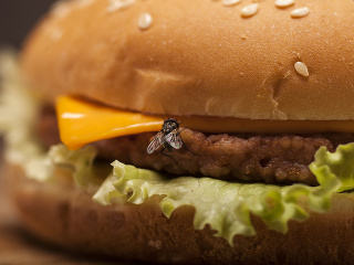 Lietajúca bakteriálna HROZBA alebo