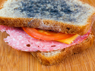 Potravinová PLESEŇ môže zaútočiť