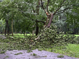 Popadané stromy po búrke