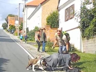 Na Martinovu maminu zaútočil