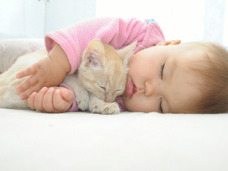 Domáci maznáčikovia: Najlepšie mačky