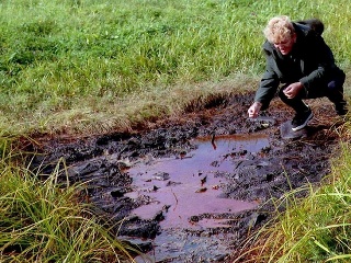 Ropný prameň v Korni