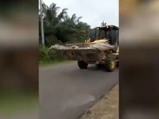 VIDEO Chytili krokodíla, ktorý