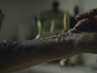 Letný horor s prvkami Hitchcocka