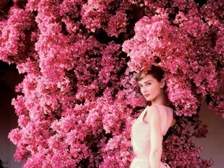 Legenda a módna ikona