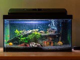 Jednoduchý spôsob, ako v